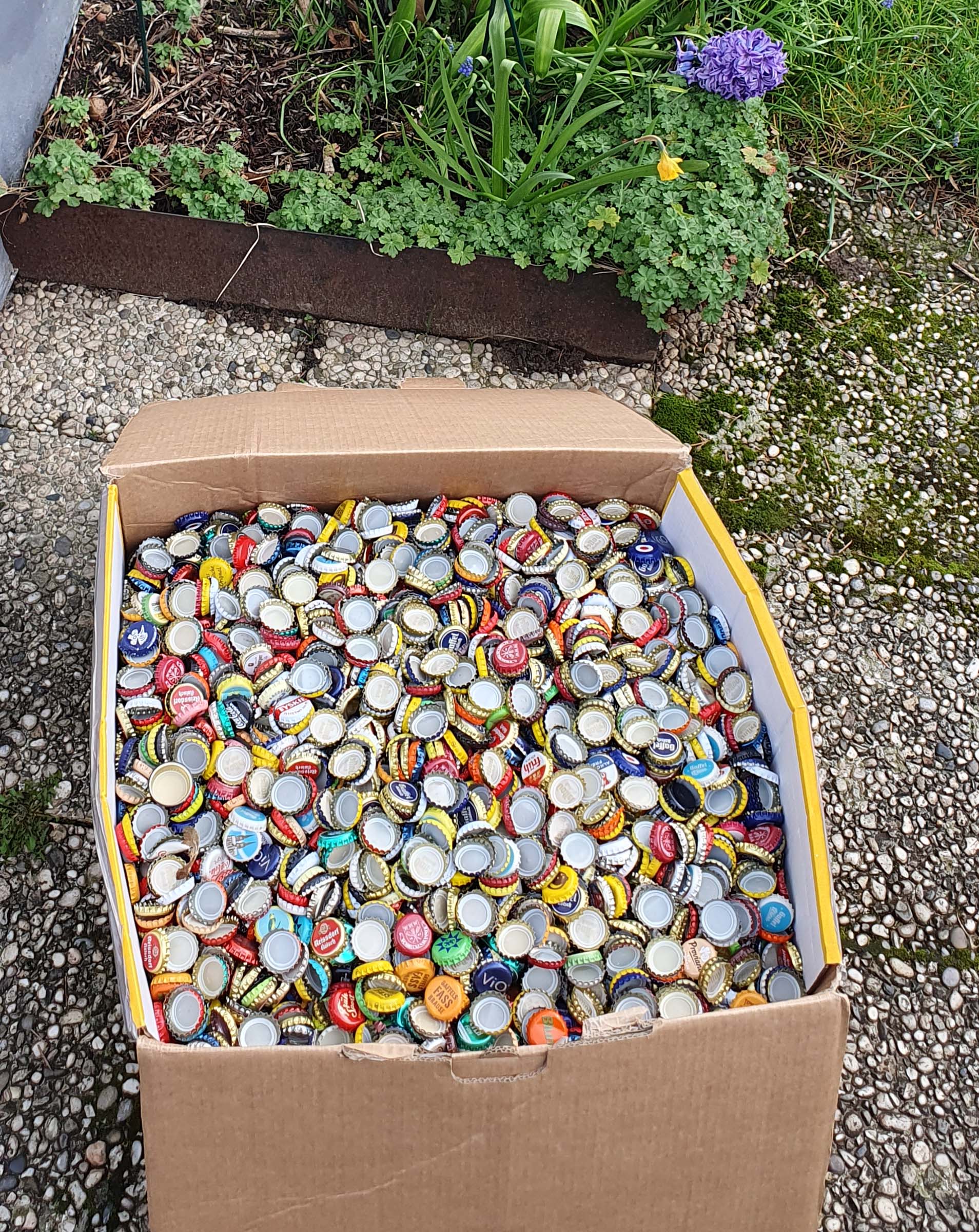 Kronkorken-Sammlung